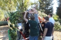 Kerbebaum Aufstellung 2011