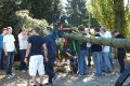 Kerbebaum Aufstellung 2011