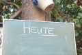 Kerbeliesverbrennung 2011